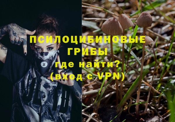 МДПВ Балахна