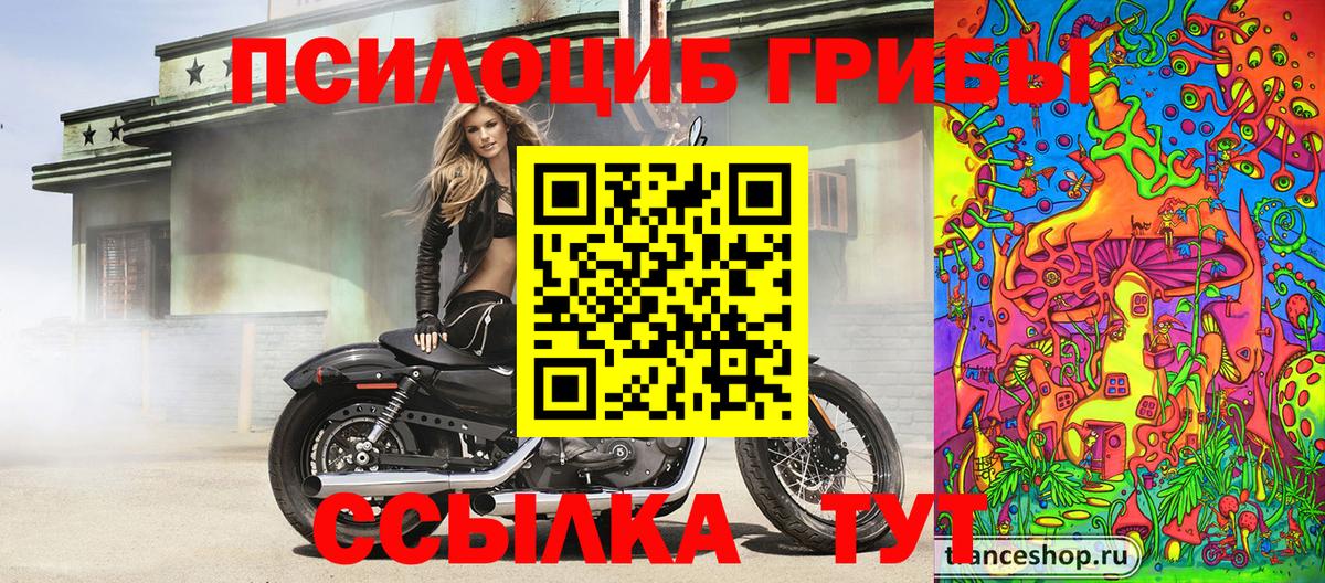 Галлюциногенные грибы ЛСД  Звенигород  Галлюциногенные грибы Magic Shrooms 
