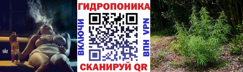 хочу   Звенигород  Марихуана сатива 